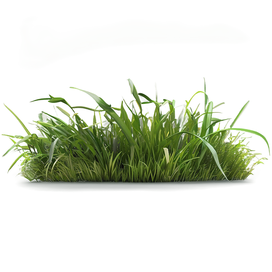 Natural Green Grass Png 53 PNG Image