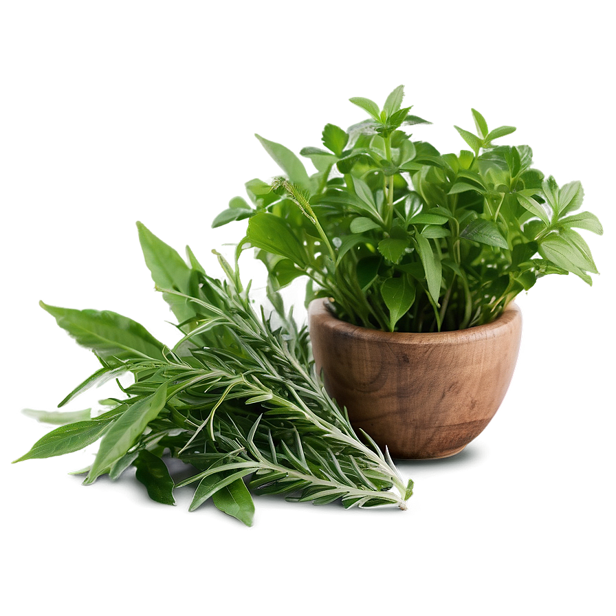 Natural Herb Png 32 PNG Image