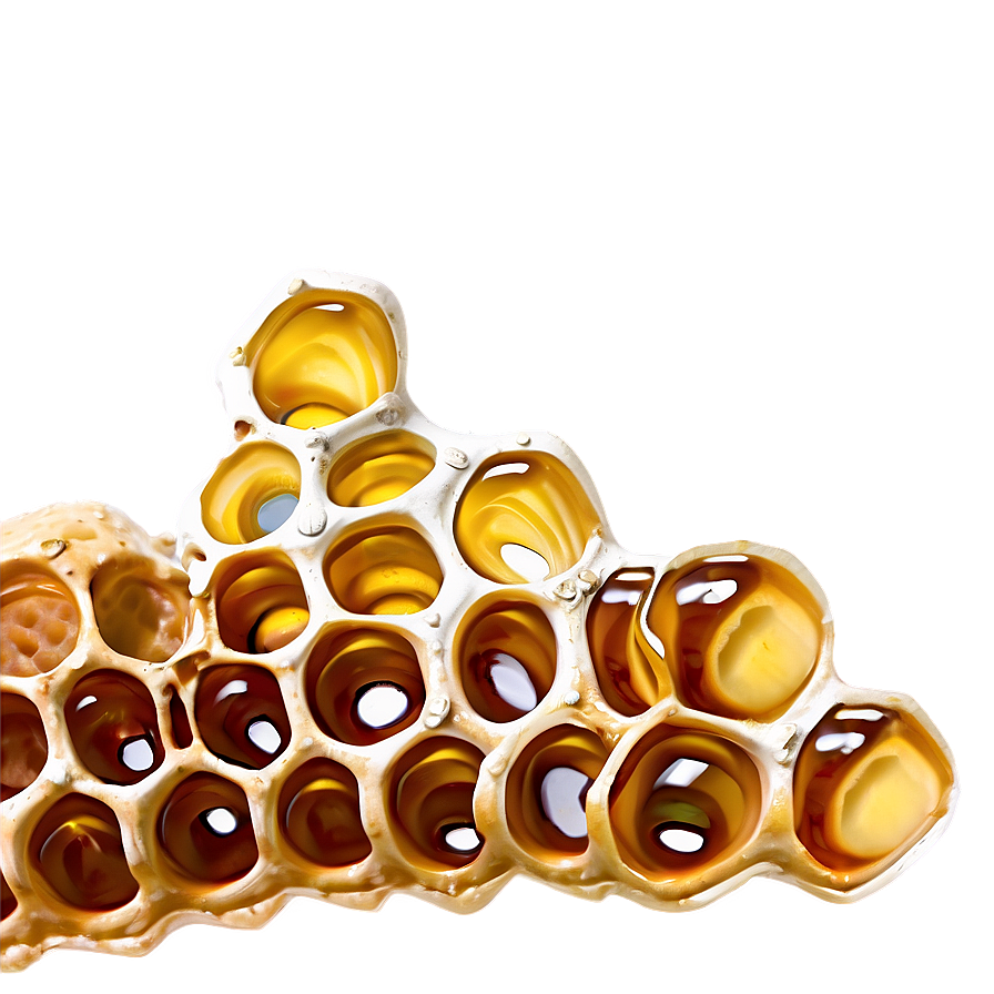 Natural Honeycomb Png 65 PNG Image