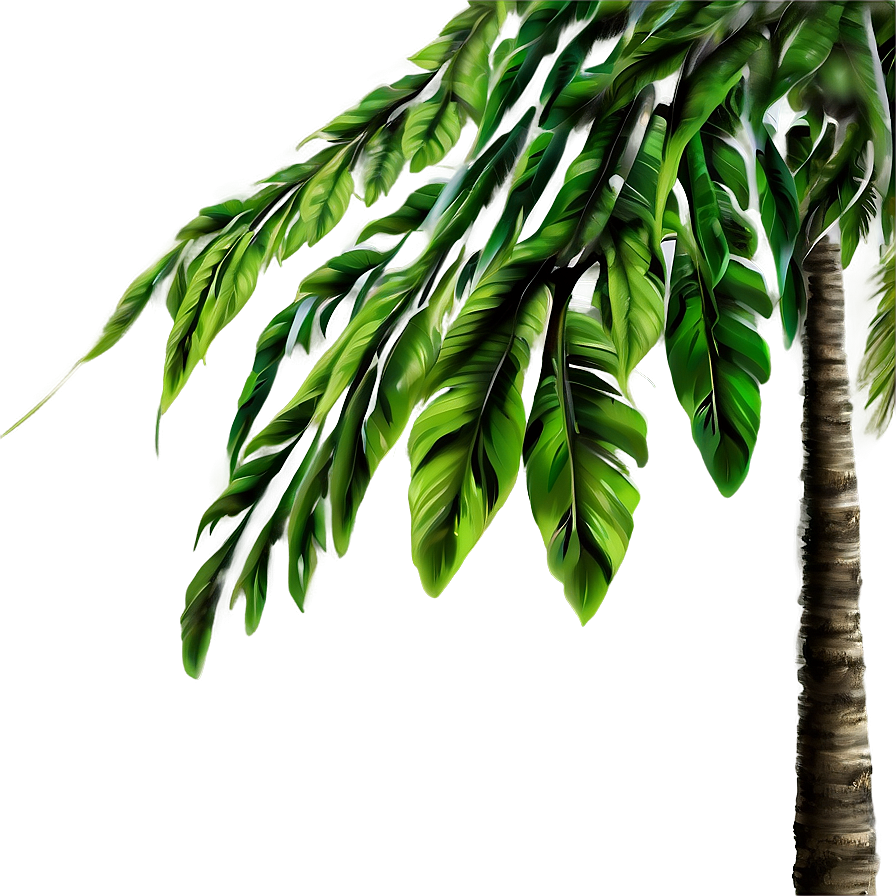 Nature B PNG Image