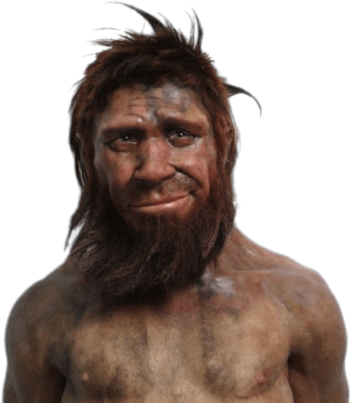 Neanderthal Man Portrait PNG Image