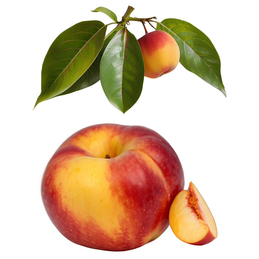 Nectarine Color Png Rrj PNG Image