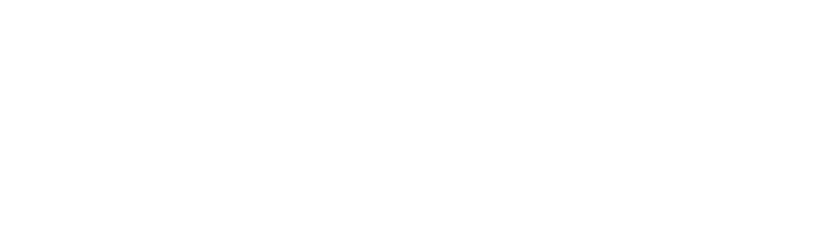 Needfor Speed Logo PNG Image