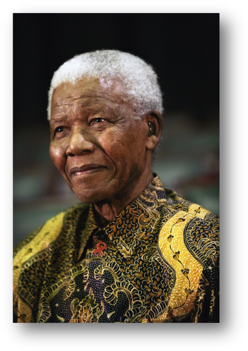 Nelson Mandela Portrait PNG Image