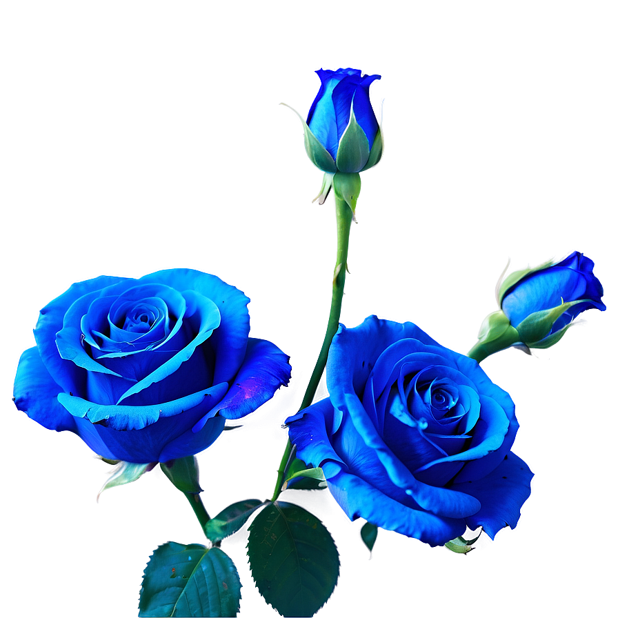 Neon Blue Rose Png Wff PNG Image