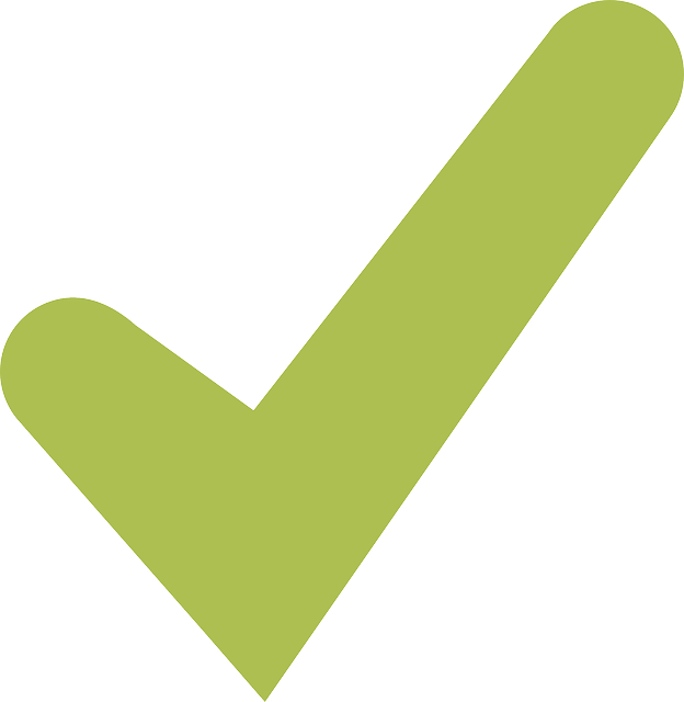 Neon Green Check Mark PNG Image