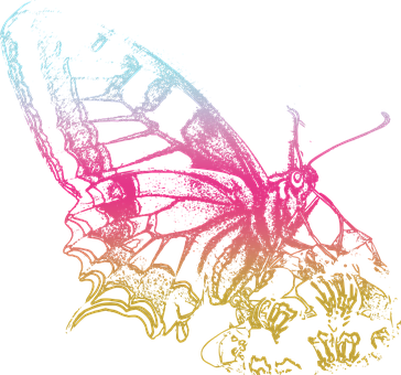 Neon Outlined Butterflyon Black PNG Image