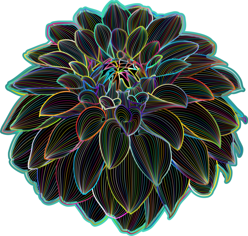 Neon Outlined Chrysanthemum Flower PNG Image