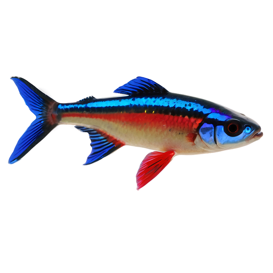 Neon Tetra Fish Png Otw7 PNG Image