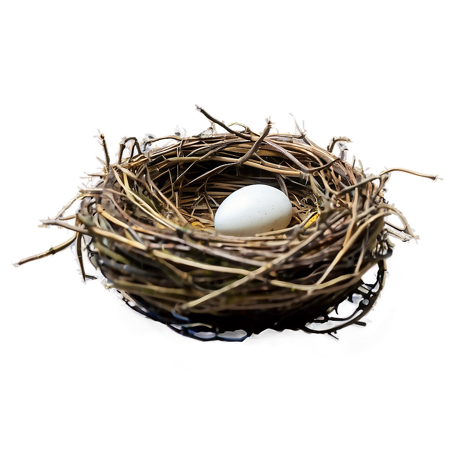 Nest In Autumn Png 05252024 PNG Image