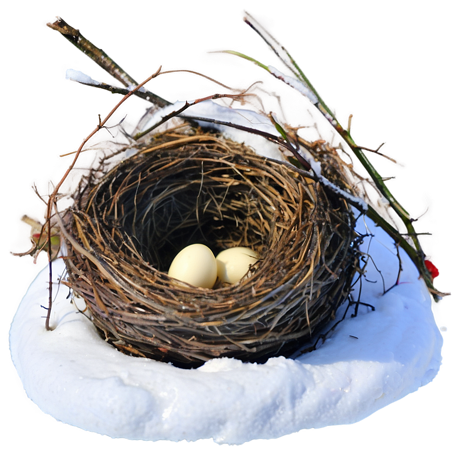 Nest In Snow Png 20 PNG Image