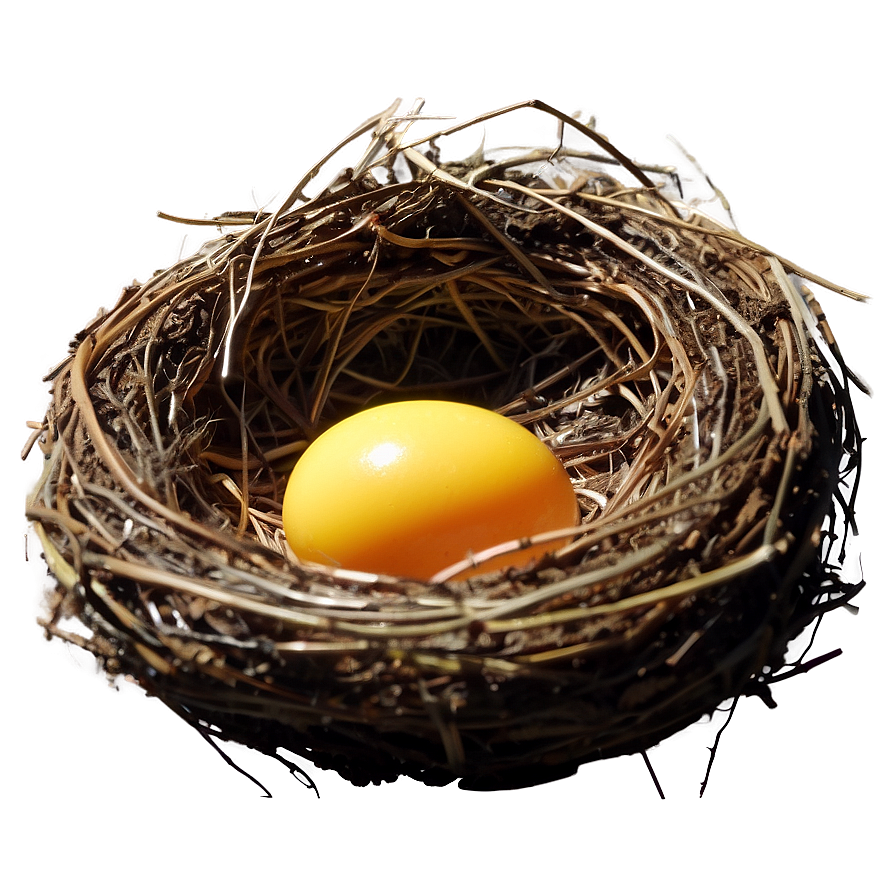 Nest In Sunlight Png 40 PNG Image