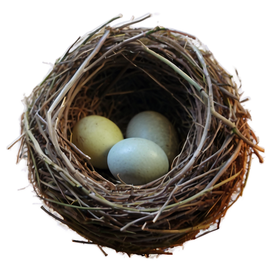 Nest In Sunset Png 56 PNG Image