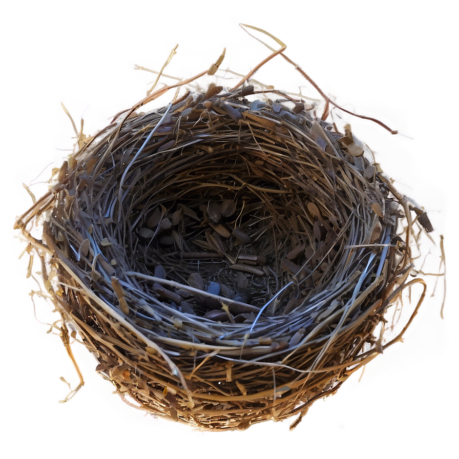 Nest In Sunset Png Bbq76 PNG Image