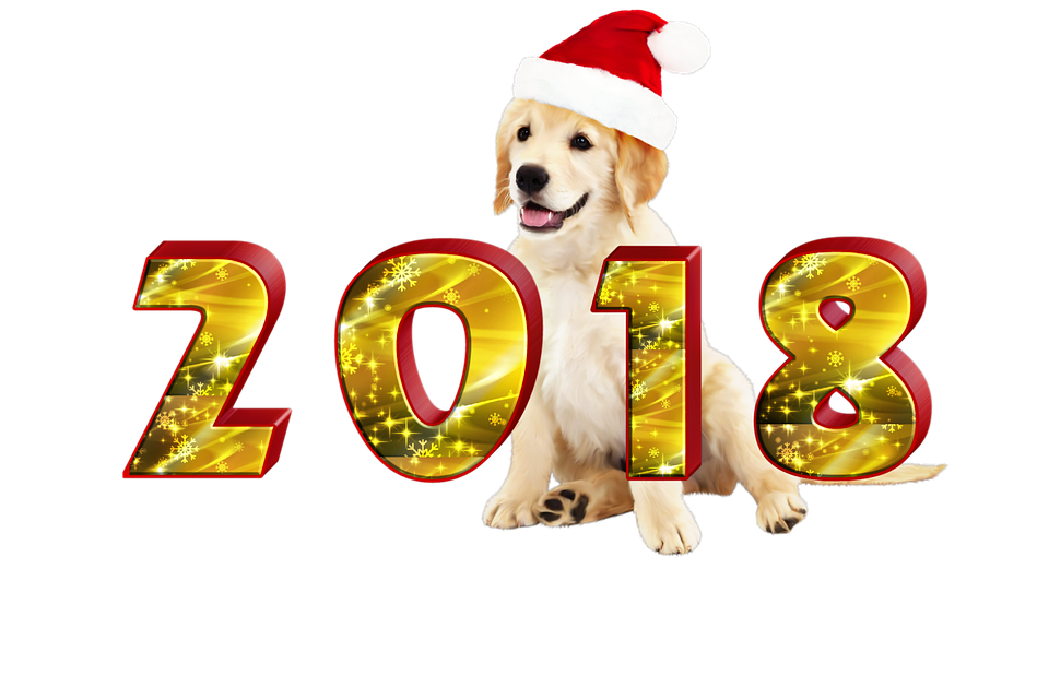 New Year2018 Golden Retriever Santa Hat PNG Image