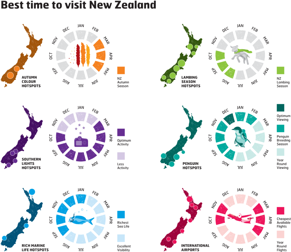 New Zealand Travel Times Infographic PNG Image