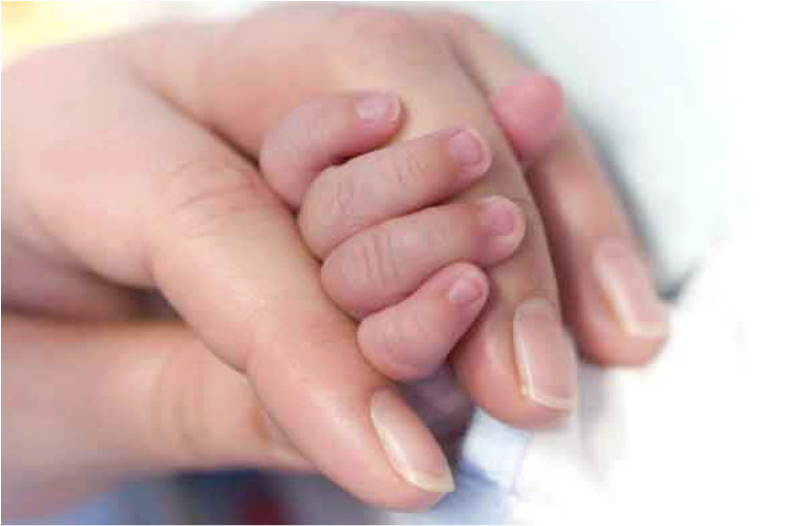 Newborn Baby Handin Parent Hand.jpg PNG Image