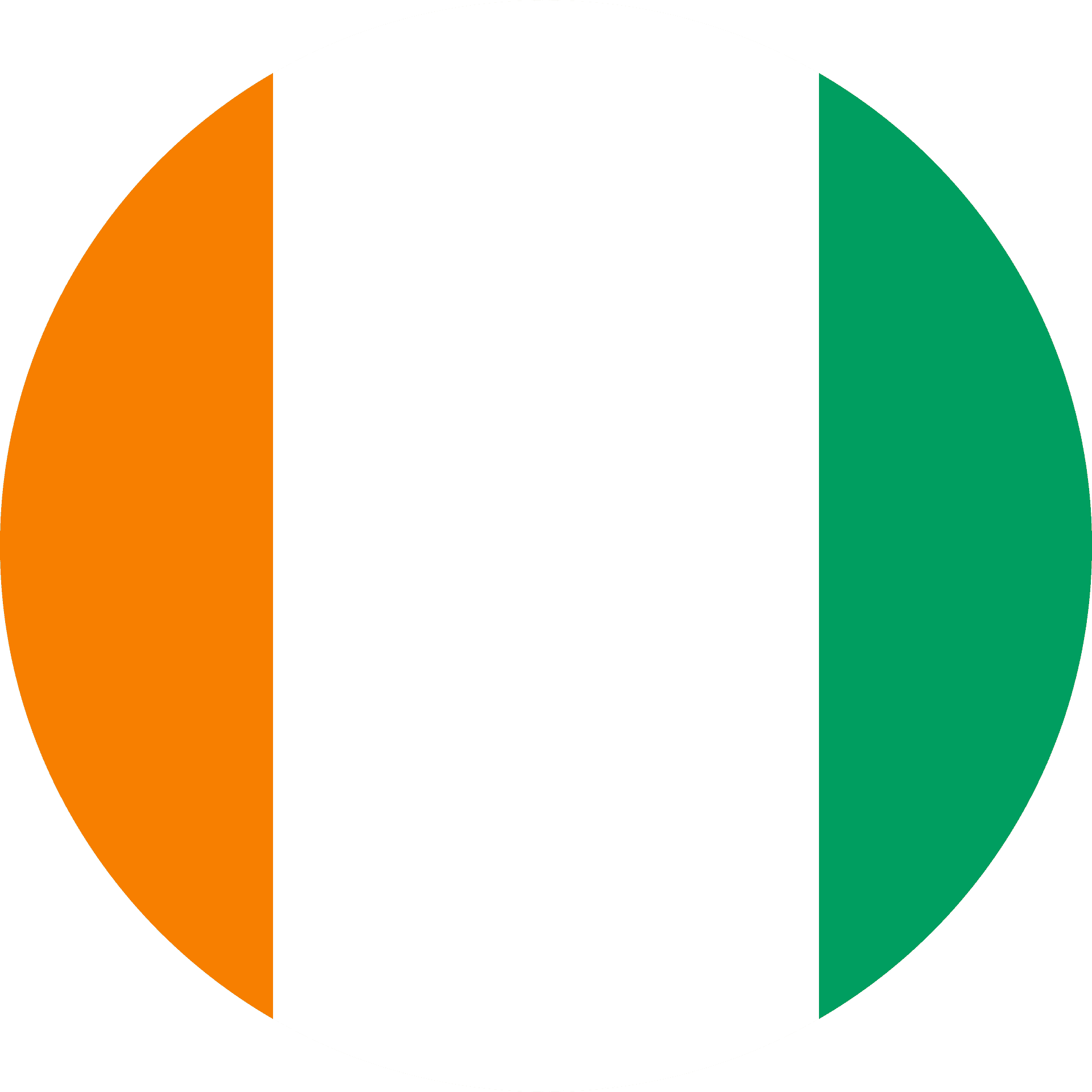 Niger National Flag PNG Image