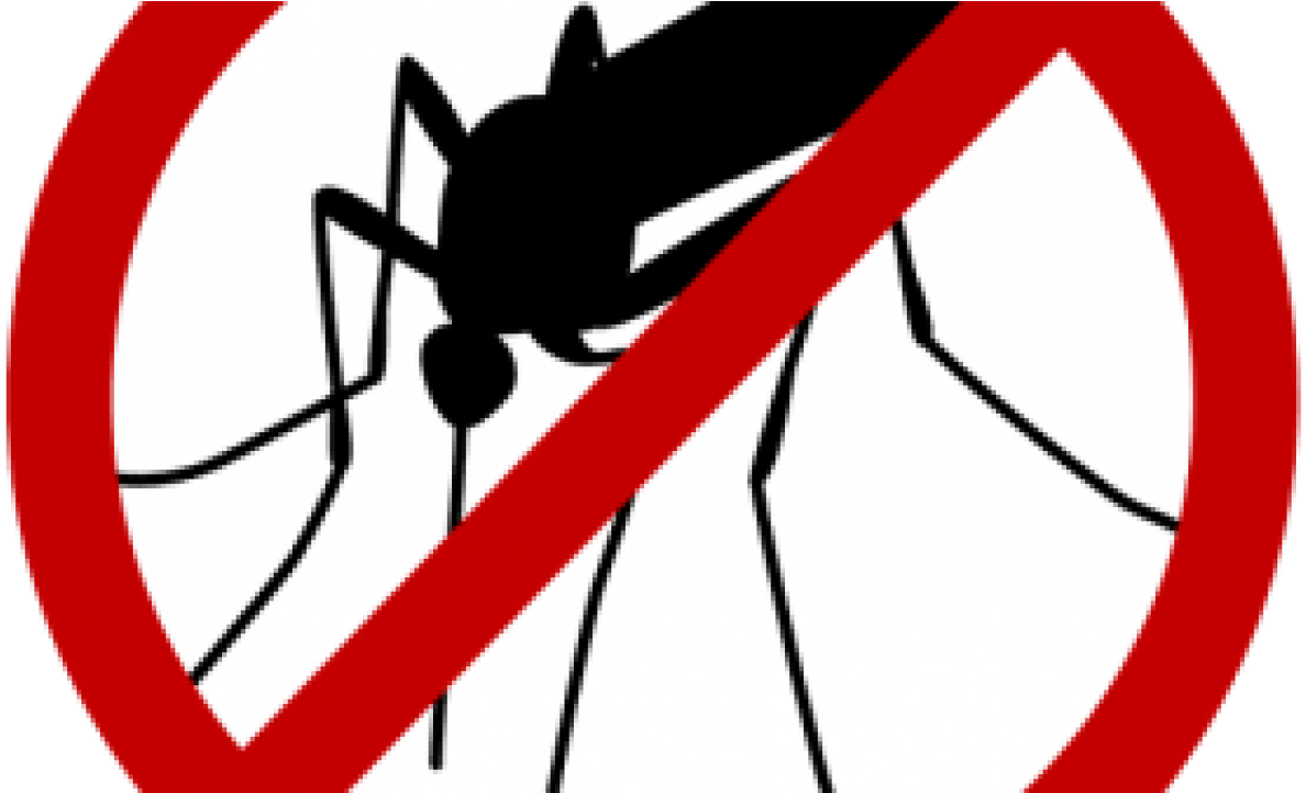 No Mosquito Sign Graphic PNG Image