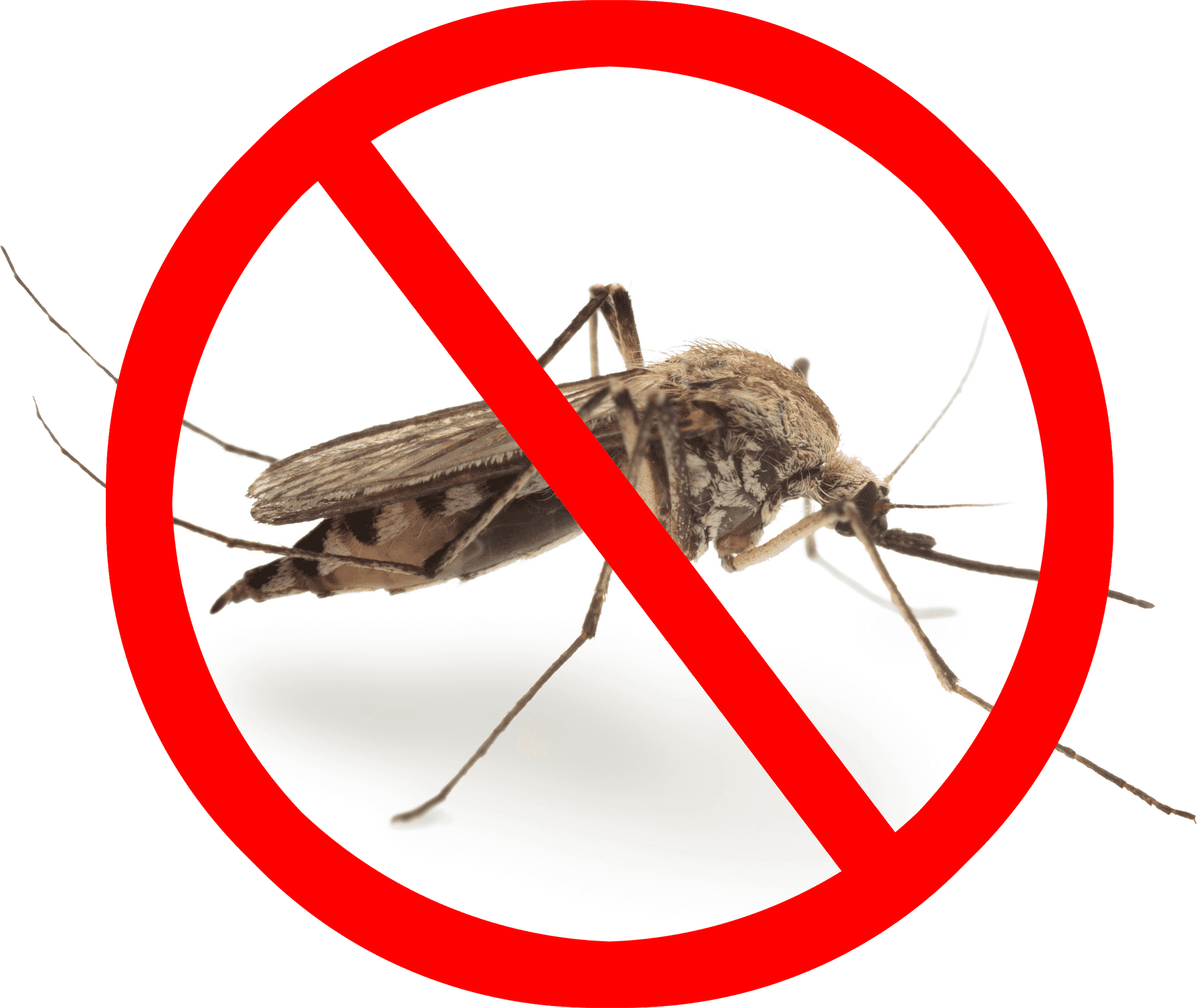 No Mosquito Sign PNG Image