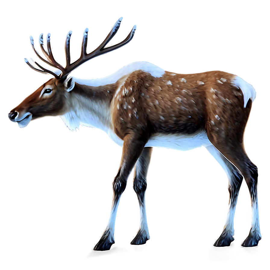 Nordic Reindeer Png Jqo PNG Image