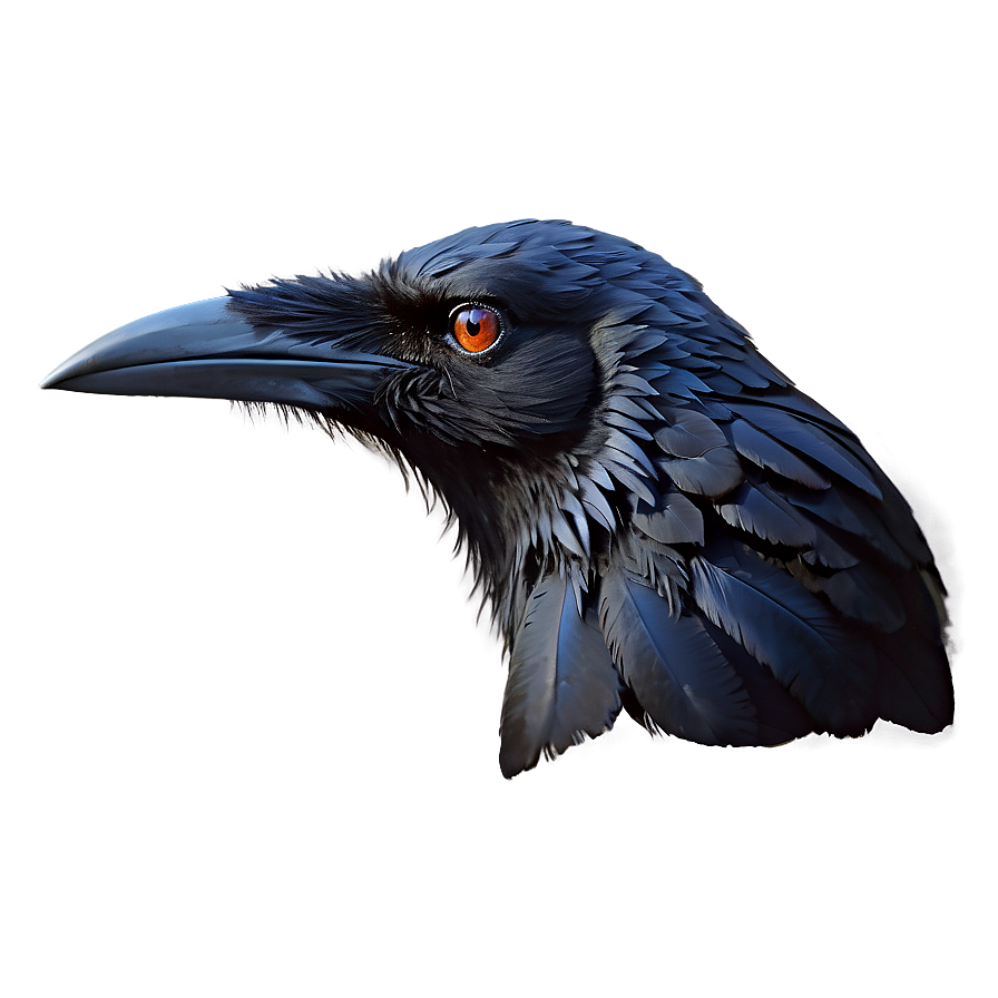 Norse Raven Png 05062024 PNG Image