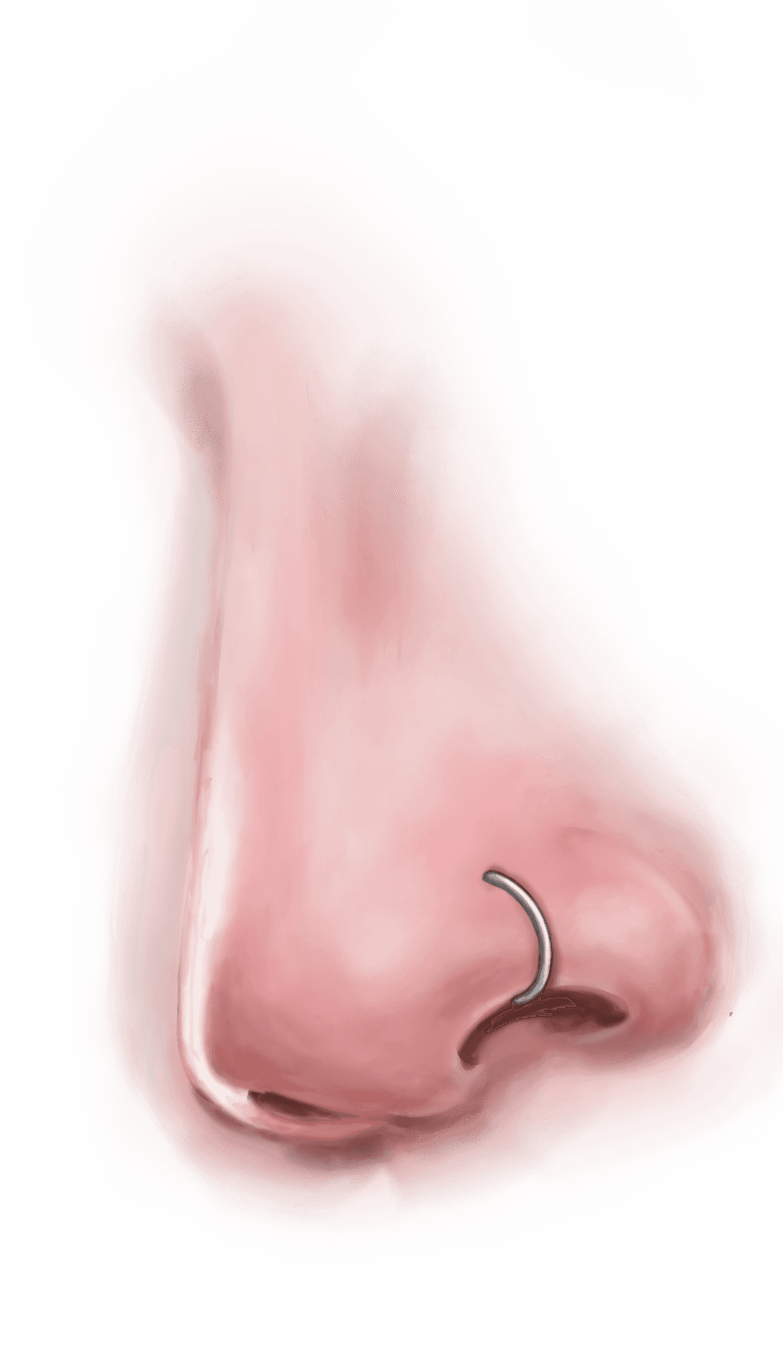 Nosewith Hoop Piercing PNG Image