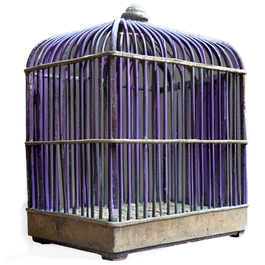 Novelty Theme Cage Png Vii PNG Image