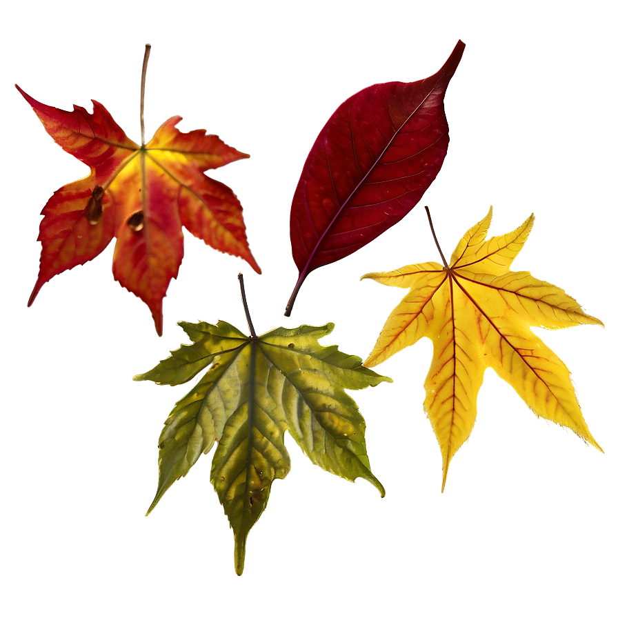 November Leaves Png 91 PNG Image