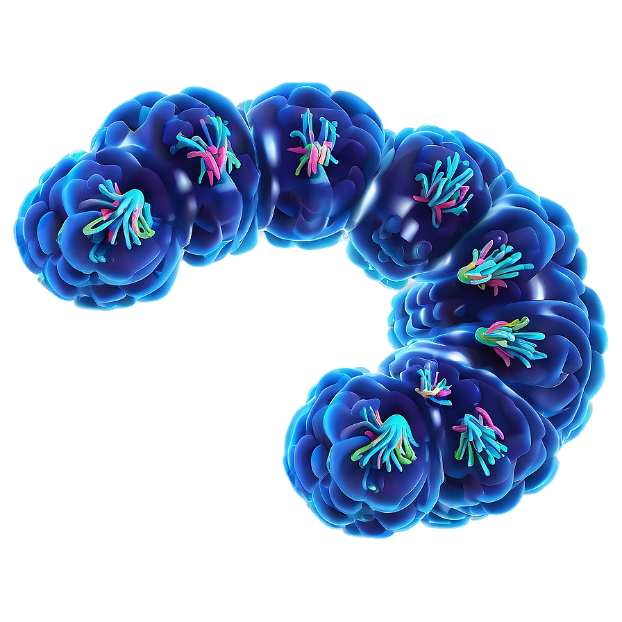 Nucleus With Chromosomes Png Uyd PNG Image