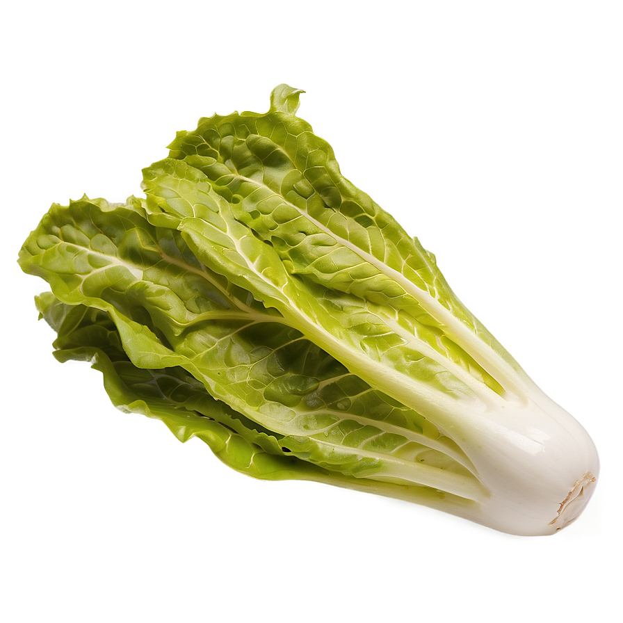 Nutrient-rich Lettuce Png 05242024 PNG Image