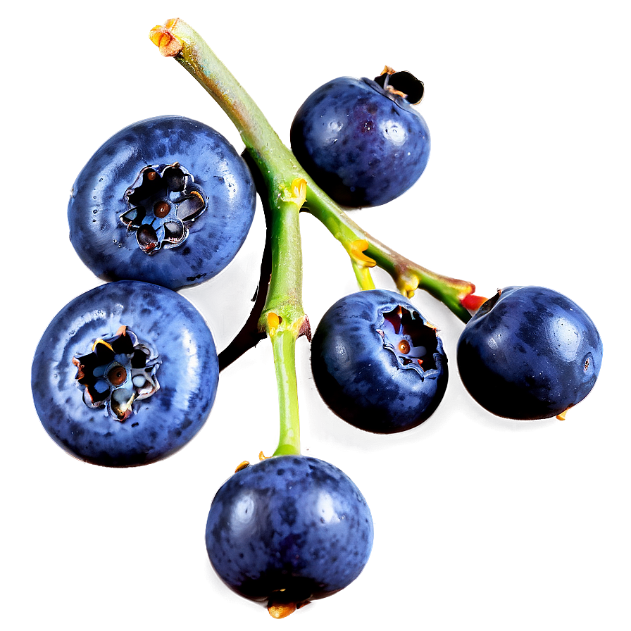 Nutritious Blueberry Serving Png Cbn86 PNG Image