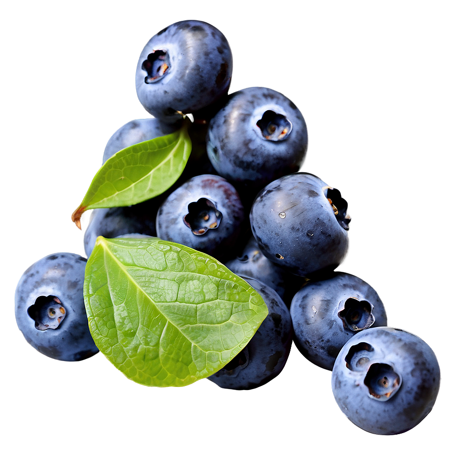 Nutritious Blueberry Serving Png Lgy48 PNG Image