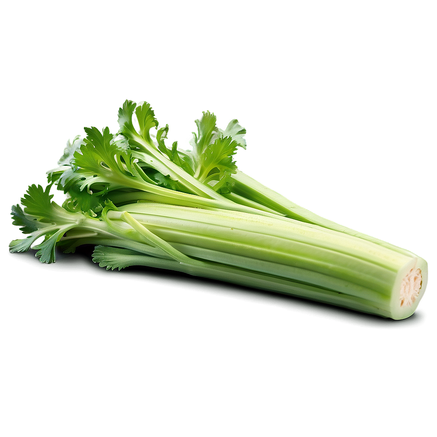 Nutritious Celery Png 14 PNG Image