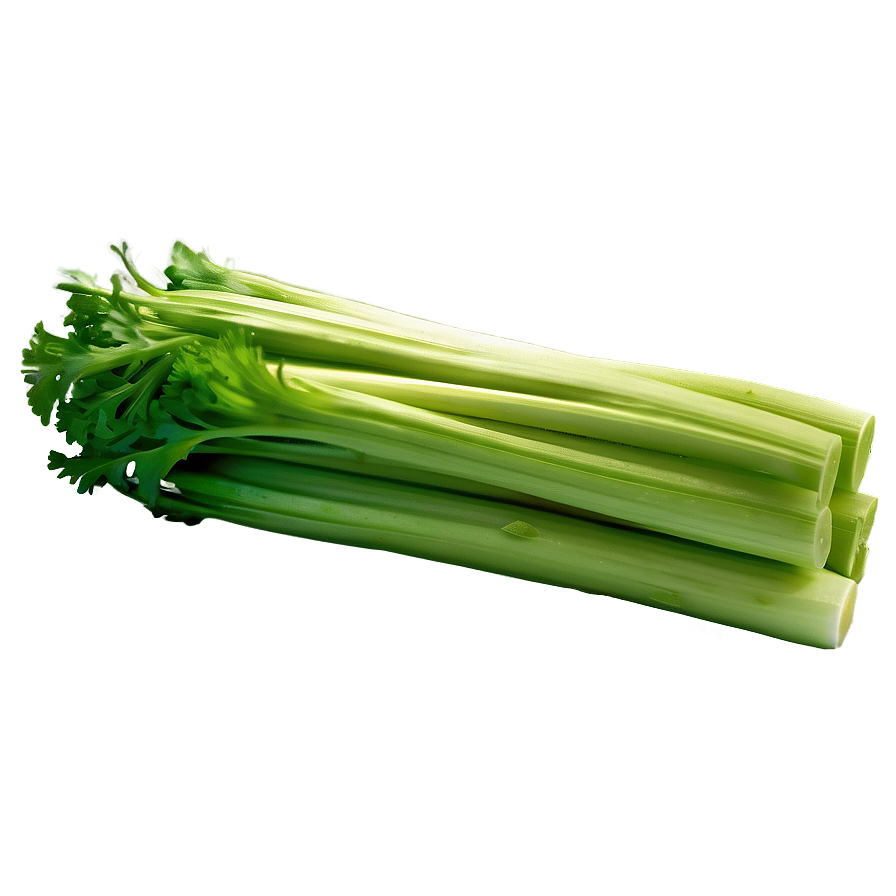 Nutritious Celery Png 68 PNG Image