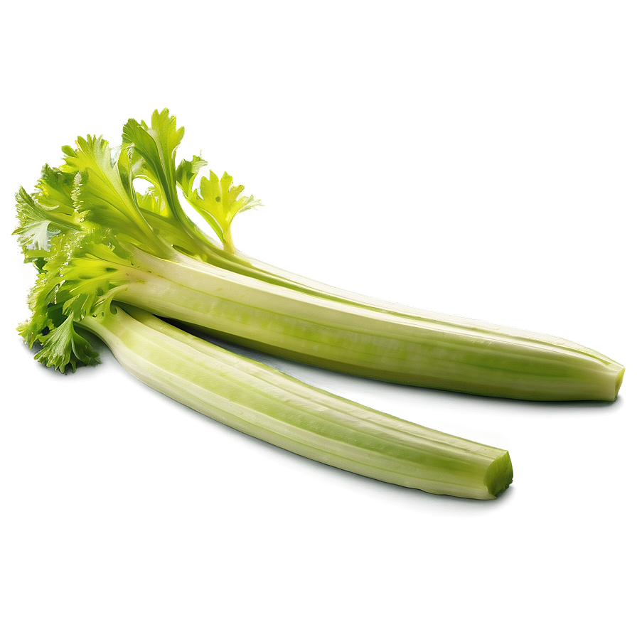 Nutritious Celery Png Uip56 PNG Image