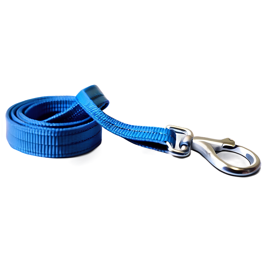 Nylon Dog Leash Png 06132024 PNG Image