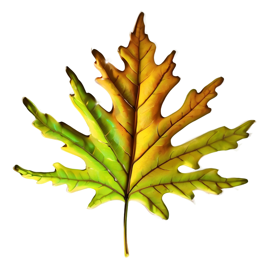 Oak Leaf C PNG Image