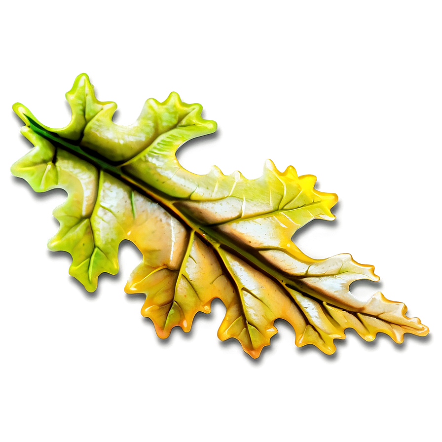 Oak Leaf D PNG Image