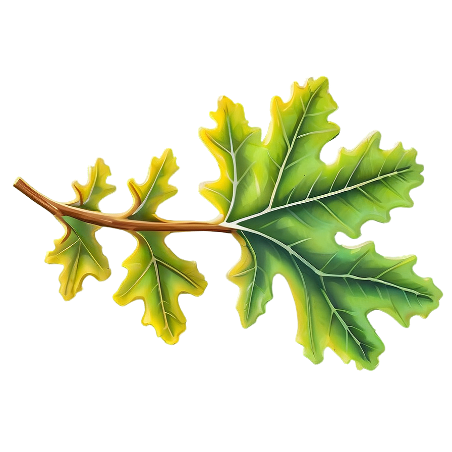 Oak Leaf Png 22 PNG Image