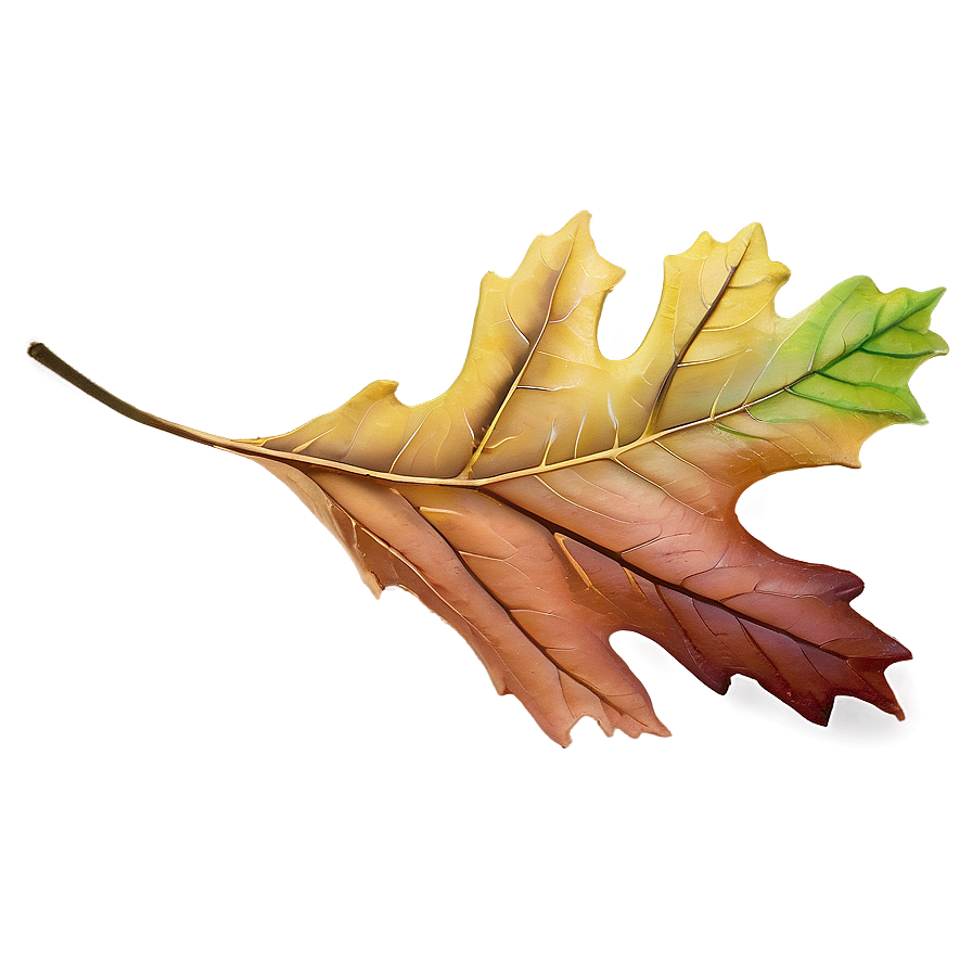 Oak Leaf Png Ynf65 PNG Image