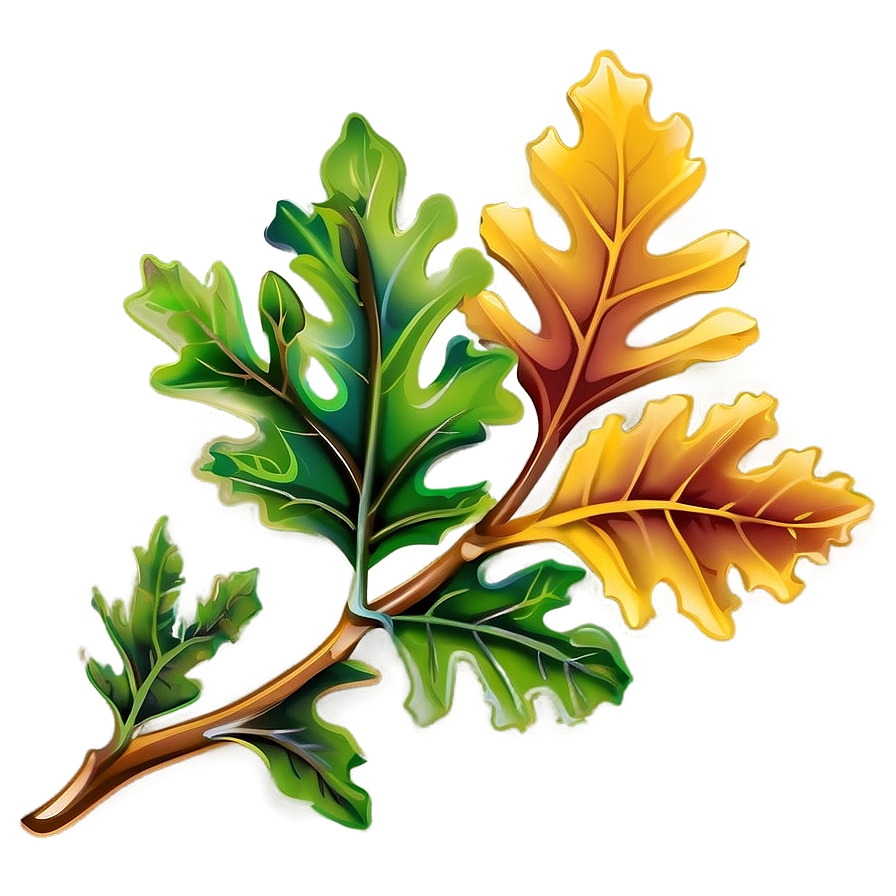 Oak Leaf Vector Png 06292024 PNG Image