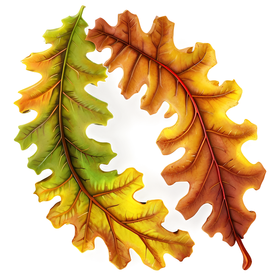 Oak Leaves Autumn Png 05042024 PNG Image