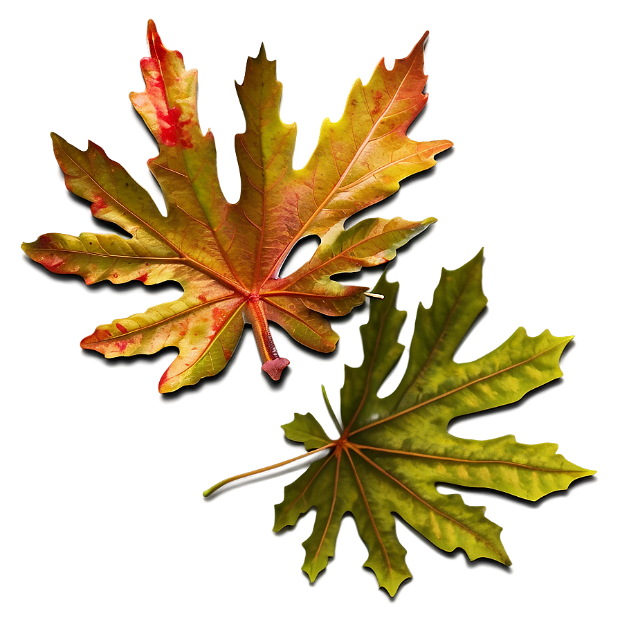 Oak Leaves Autumn Png 75 PNG Image