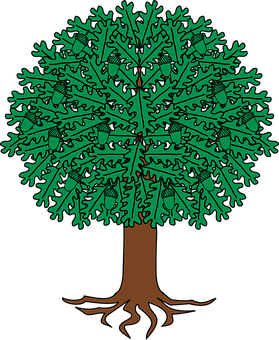 Oak Tree Illustration PNG Image