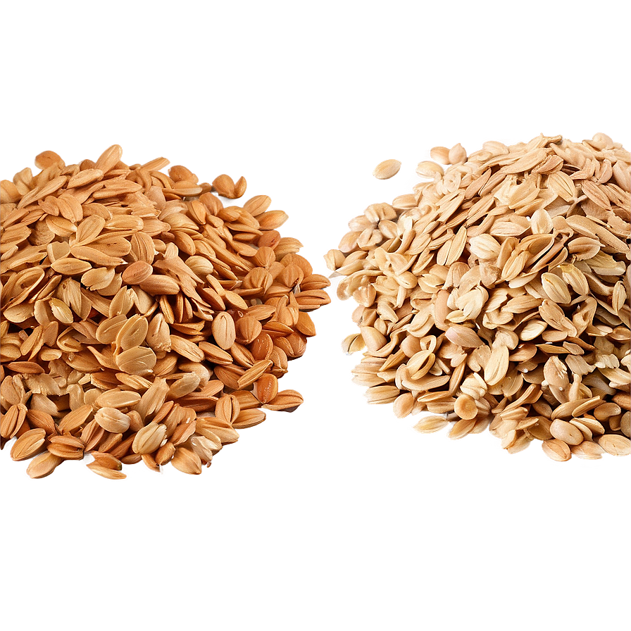 Oats B PNG Image