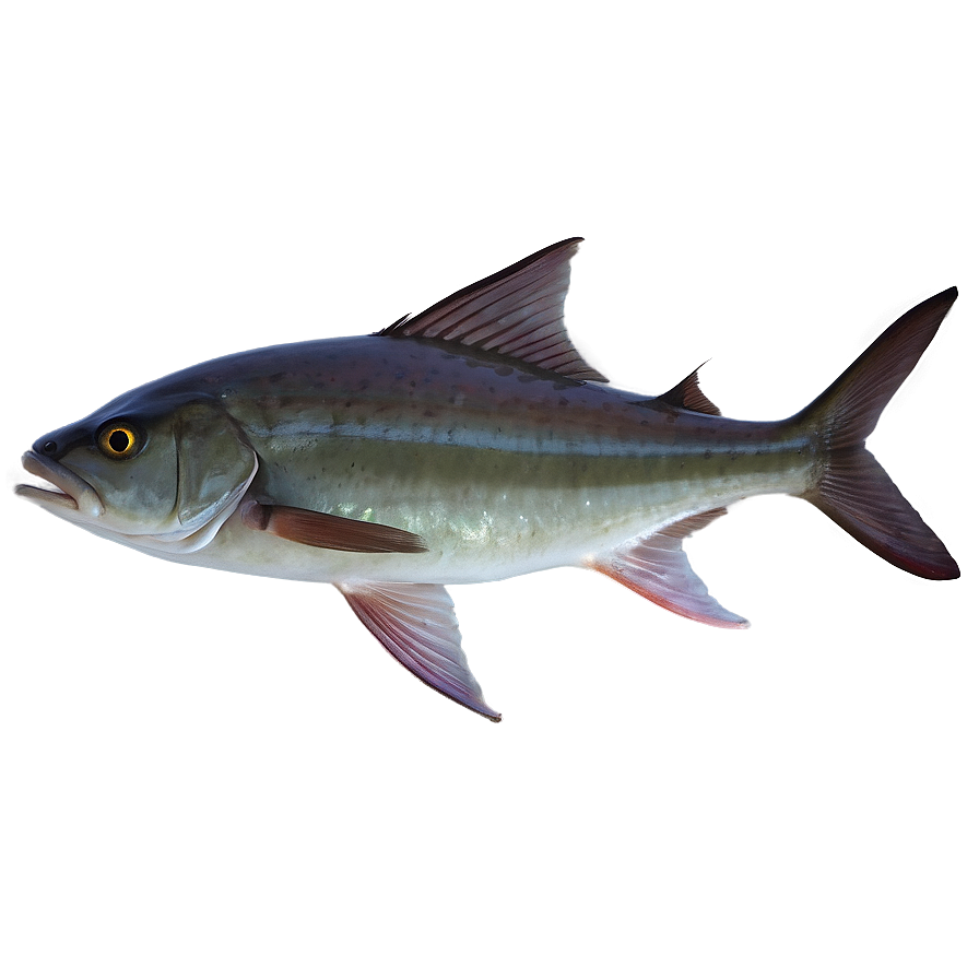 Ocean Fishing Adventure Png Keo PNG Image