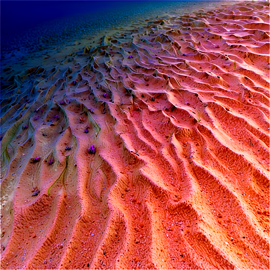 Ocean Floor Sand Png Ncu PNG Image