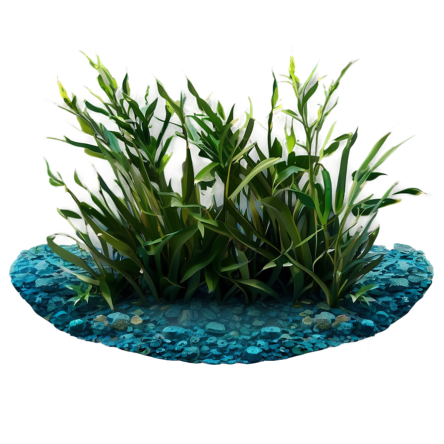 Ocean Floor Seagrass Png 06292024 PNG Image