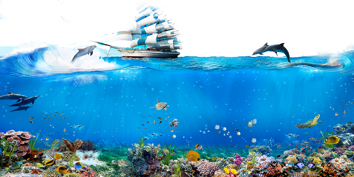 Ocean Life Split View PNG Image